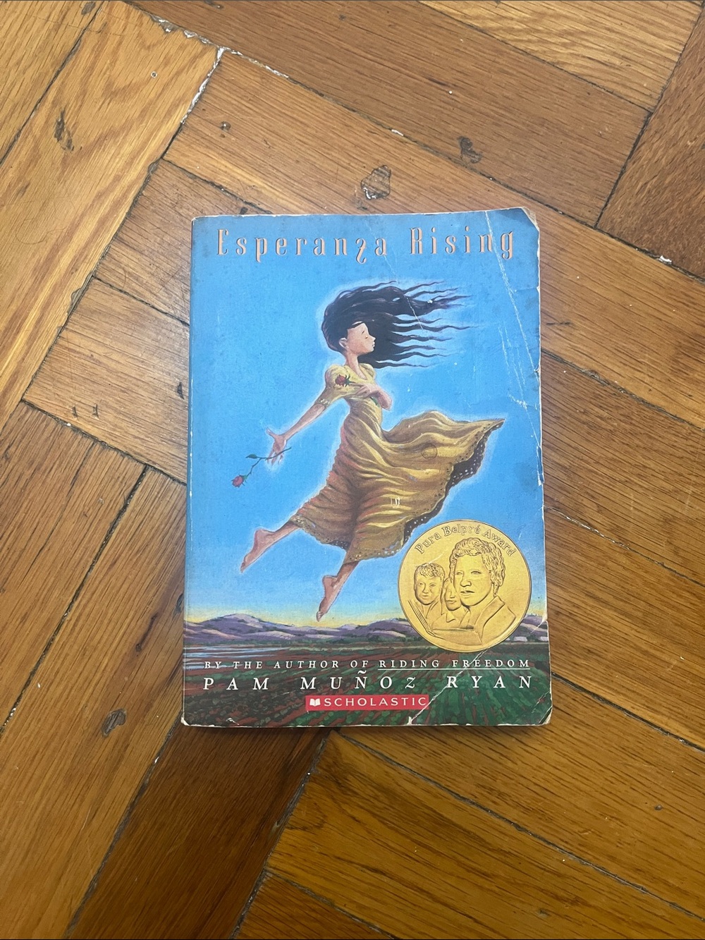 Scholastic Esperanza Rising - Blue and Yellow Illustrated Cover